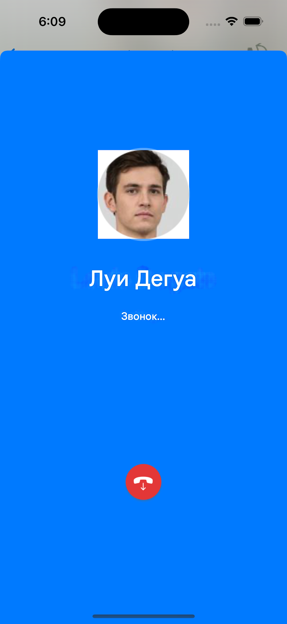 Голосовой вызов